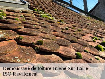 Demoussage de toiture juigne-sur-loire-49610 ISO Ravalement