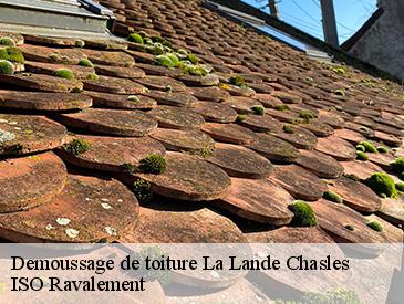 Demoussage de toiture  la-lande-chasles-49150 