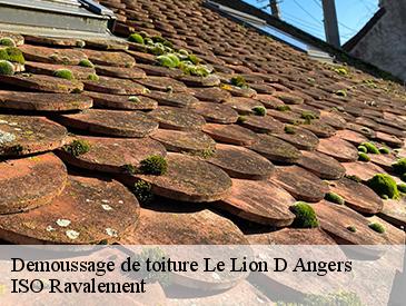Demoussage de toiture le-lion-d-angers-49220 ISO Ravalement