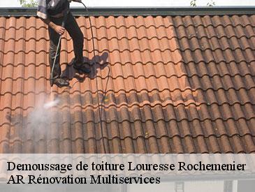 Demoussage de toiture  louresse-rochemenier-49700 AR Rénovation Multiservices 
