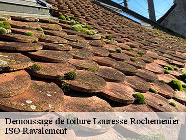 Demoussage de toiture louresse-rochemenier-49700