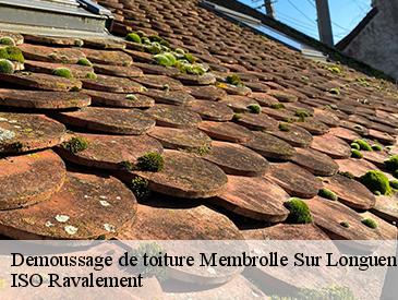 Demoussage de toiture membrolle-sur-longuenee-49220