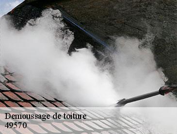 Demoussage de toiture  49570