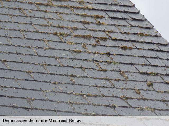 Demoussage de toiture  montreuil-bellay-49260 