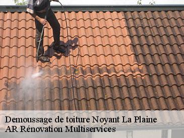 Demoussage de toiture noyant-la-plaine-49700 AR Rénovation Multiservices