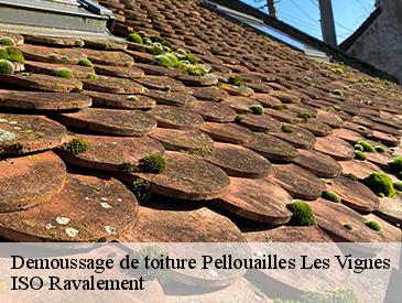 Demoussage de toiture pellouailles-les-vignes-49112 ISO Ravalement