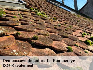 Demoussage de toiture la-pommeraye-49620 ISO Ravalement