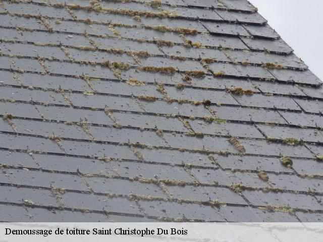 Demoussage de toiture  saint-christophe-du-bois-49280 