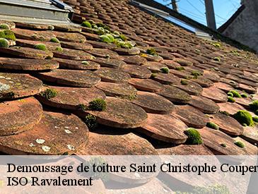 Demoussage de toiture  saint-christophe-couperie-49270 