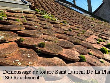 Demoussage de toiture saint-laurent-de-la-plaine-49290 ISO Ravalement
