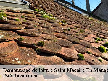 Demoussage de toiture saint-macaire-en-mauges-49450 ISO Ravalement