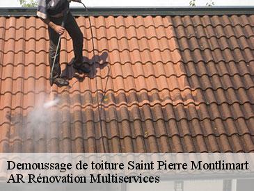 Demoussage de toiture saint-pierre-montlimart-49110 AR Rénovation Multiservices