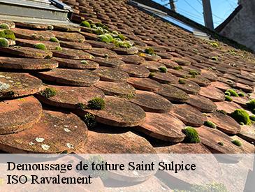 Demoussage de toiture saint-sulpice-49320 ISO Ravalement