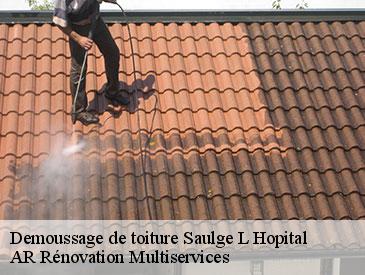 Demoussage de toiture saulge-l-hopital-49320 AR Rénovation Multiservices