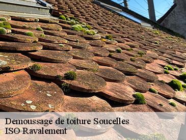 Demoussage de toiture  soucelles-49140 