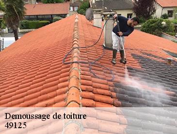 Demoussage de toiture 49125