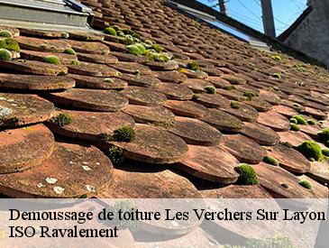 Demoussage de toiture les-verchers-sur-layon-49700 ISO Ravalement
