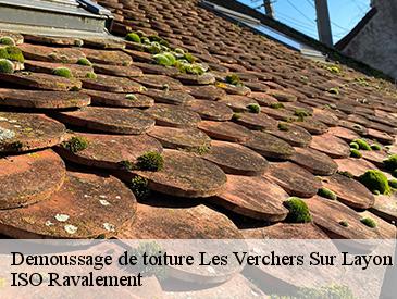 Demoussage de toiture  les-verchers-sur-layon-49700 