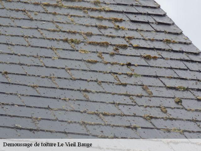 Demoussage de toiture  le-vieil-bauge-49150 