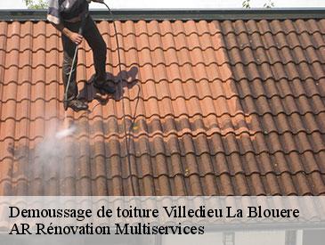 Demoussage de toiture villedieu-la-blouere-49450 AR Rénovation Multiservices