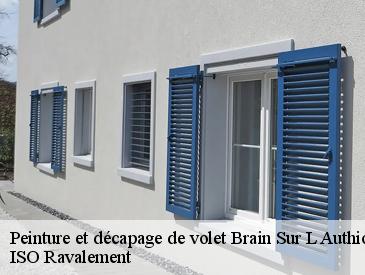 Peinture et décapage de volet brain-sur-l-authion-49800 ISO Ravalement