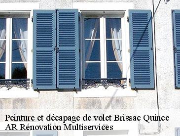 Peinture et décapage de volet brissac-quince-49320 AR Rénovation Multiservices