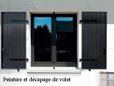 Peinture et décapage de volet 49410