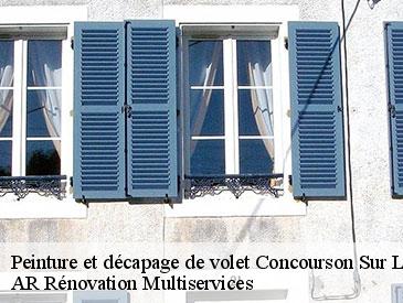 Peinture et décapage de volet concourson-sur-layon-49700 AR Rénovation Multiservices