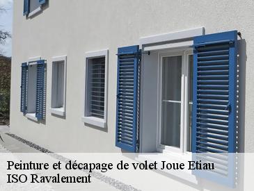 Peinture et décapage de volet joue-etiau-49670 ISO Ravalement