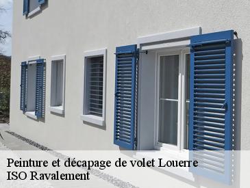 Peinture et décapage de volet louerre-49700 ISO Ravalement