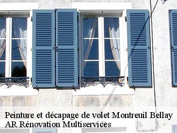 Peinture et décapage de volet montreuil-bellay-49260 AR Rénovation Multiservices