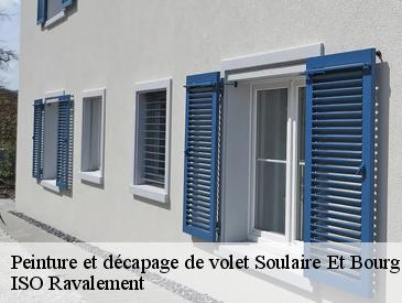 Peinture et décapage de volet soulaire-et-bourg-49460