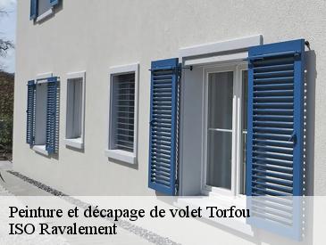 Peinture et décapage de volet torfou-49660 ISO Ravalement