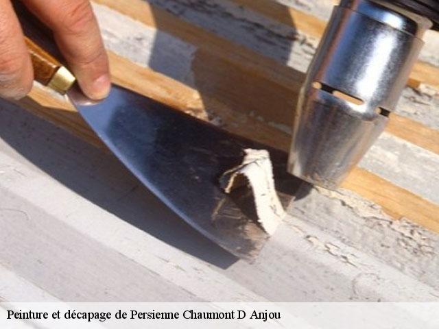 Peinture et décapage de Persienne  chaumont-d-anjou-49140 